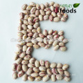 Wholesale Dried Beans, Argentina Beans